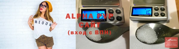 эйфоретик Няндома