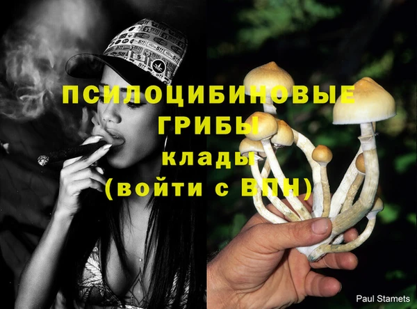 эйфоретик Няндома