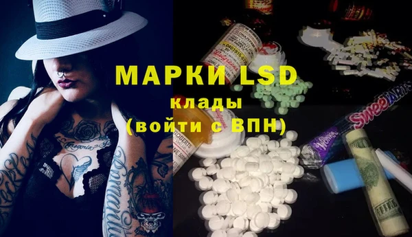 эйфоретик Няндома