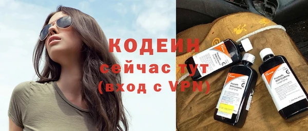 эйфоретик Няндома