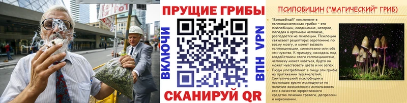 shop как зайти  Миньяр  Псилоцибиновые грибы GOLDEN TEACHER 